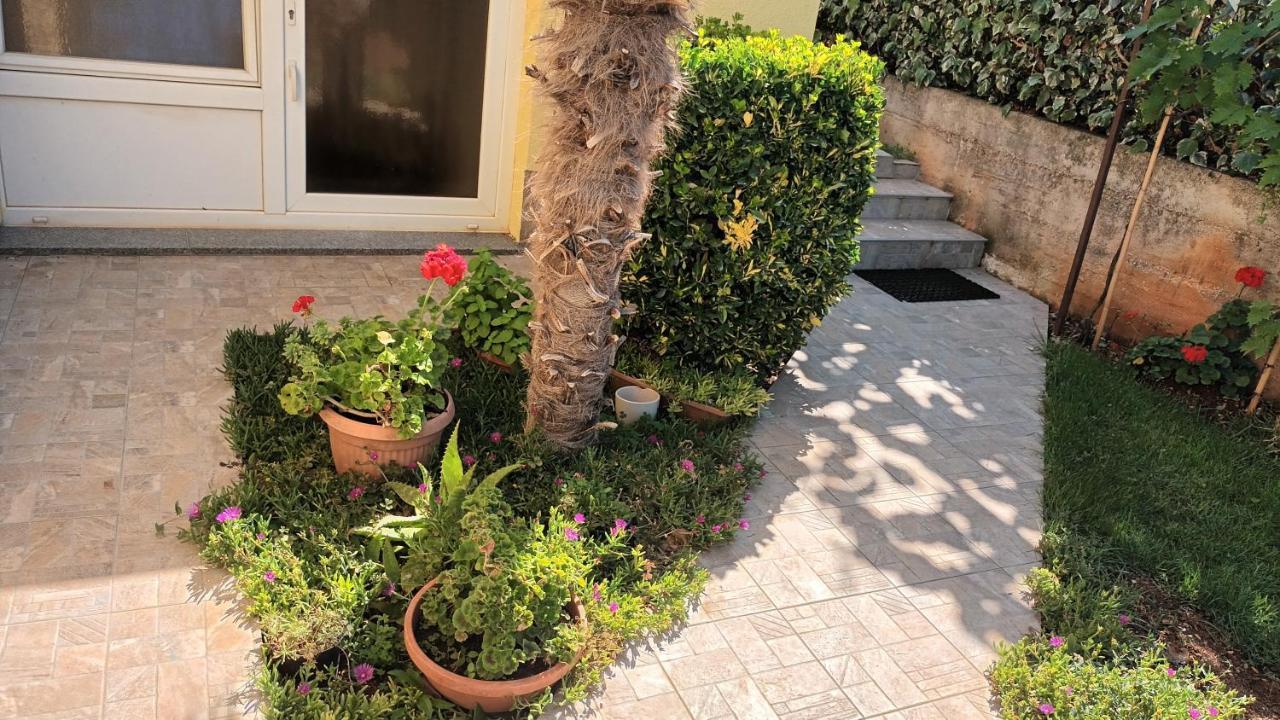 Apartments Monte Magno Pula Zewnętrze zdjęcie