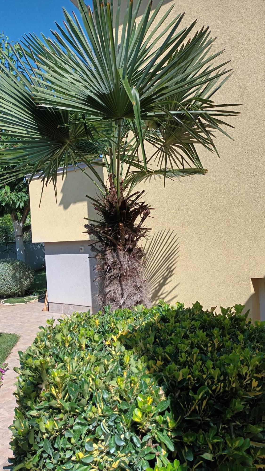 Apartments Monte Magno Pula Zewnętrze zdjęcie