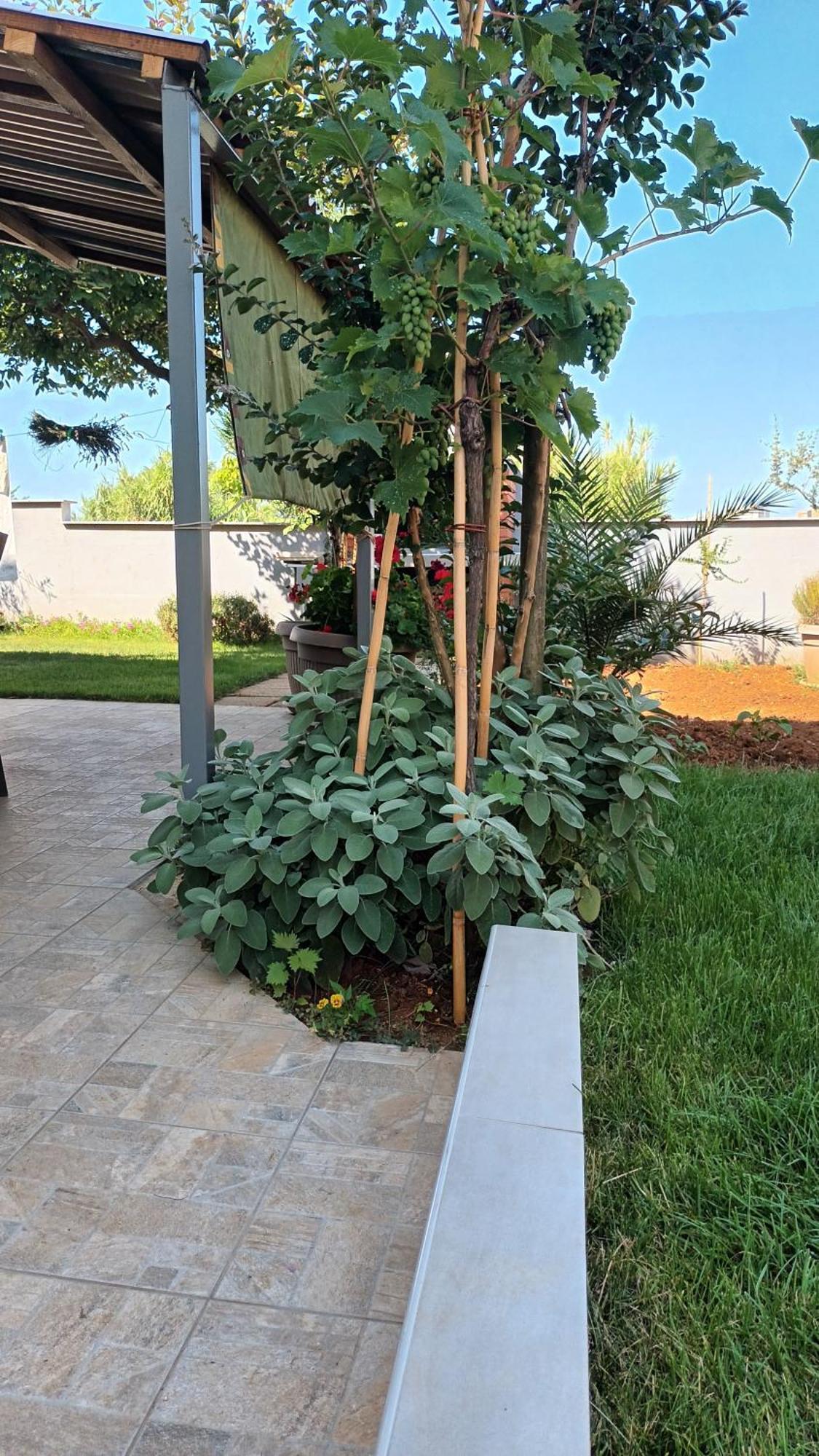 Apartments Monte Magno Pula Zewnętrze zdjęcie
