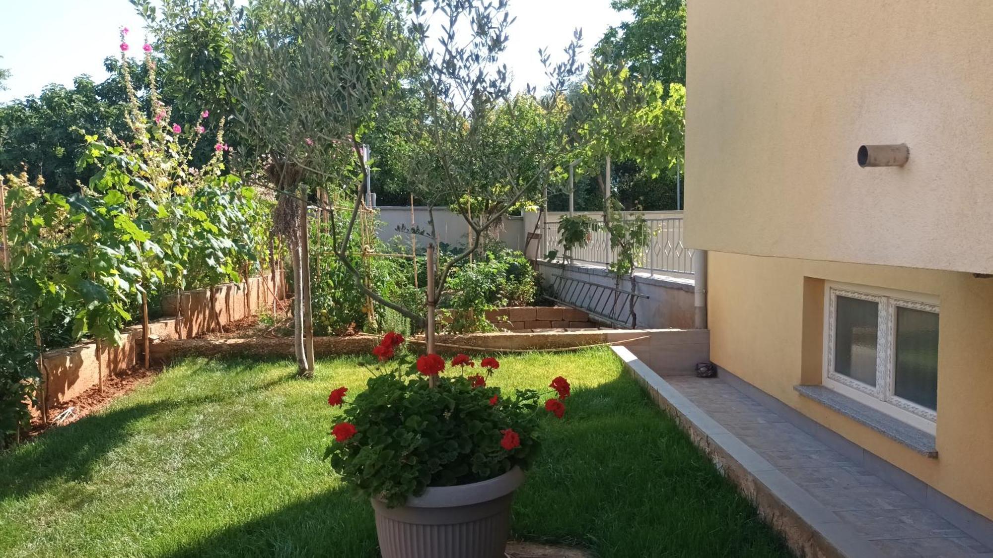 Apartments Monte Magno Pula Zewnętrze zdjęcie