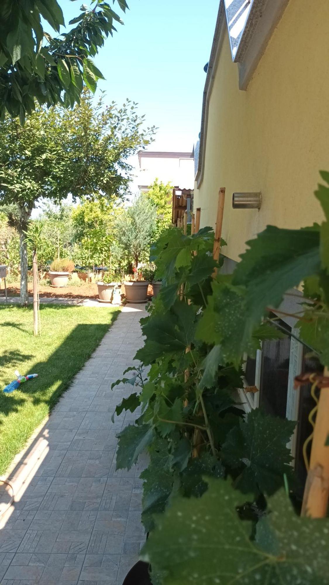 Apartments Monte Magno Pula Zewnętrze zdjęcie