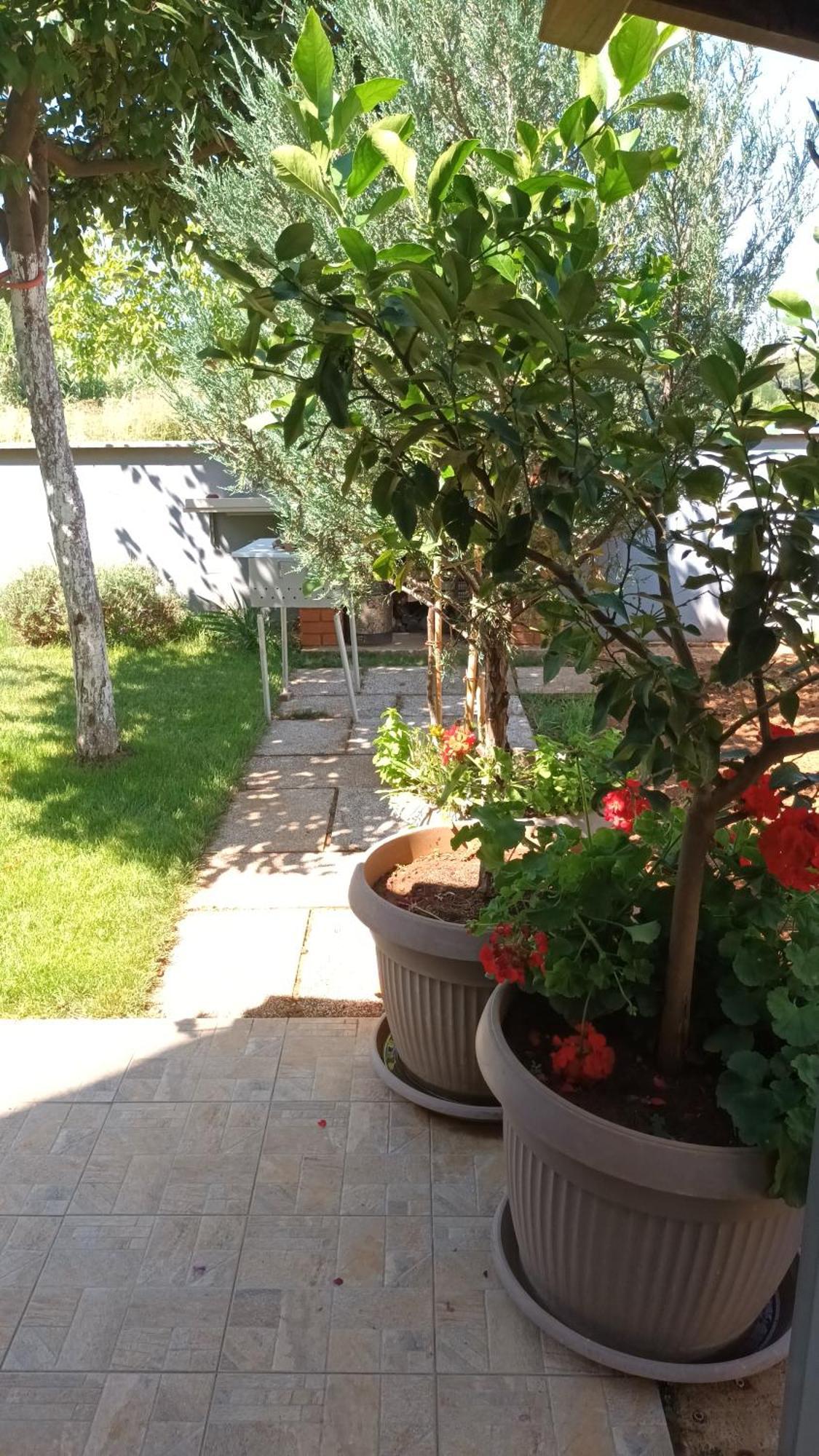 Apartments Monte Magno Pula Zewnętrze zdjęcie