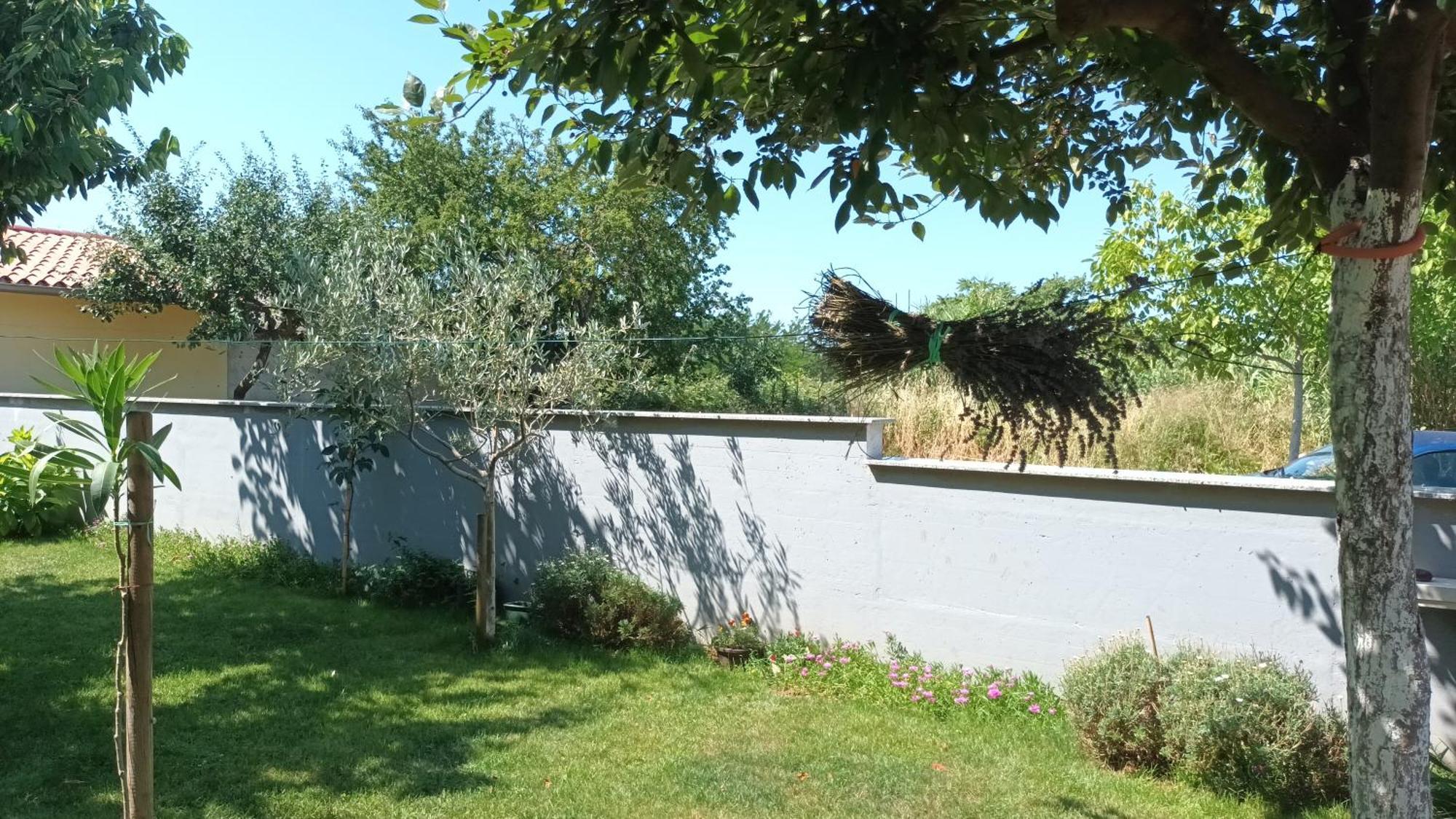 Apartments Monte Magno Pula Zewnętrze zdjęcie
